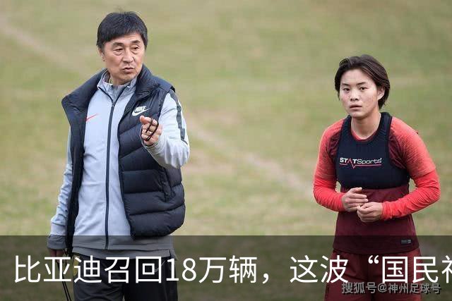比亚迪召回18万辆，这波“国民神车”又要焕新了！